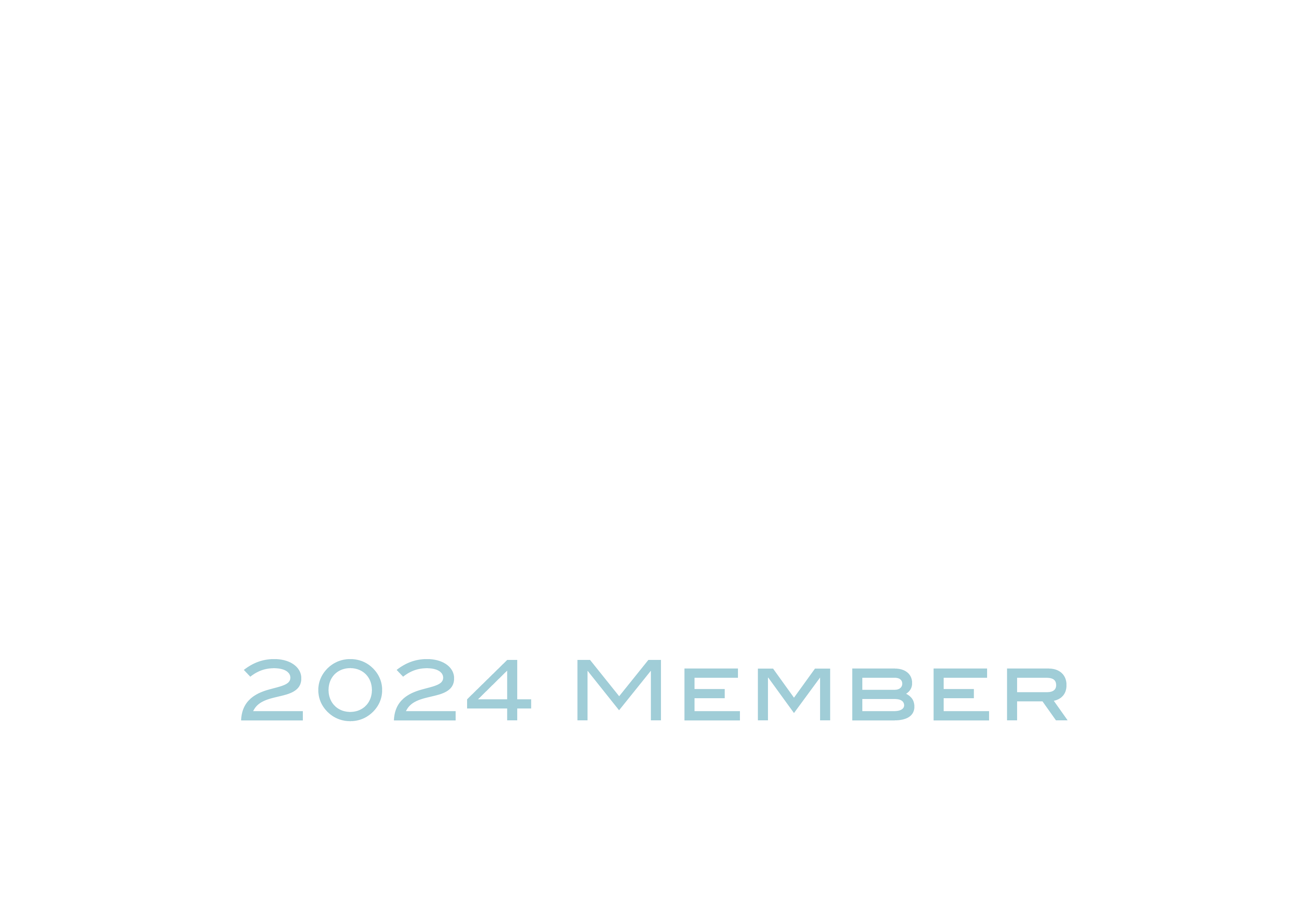 ISO AMEC